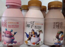 光明一只椰子椰汁奶大白兔奶糖牛奶巧克努力含乳饮品250ml/瓶低温饮品 4个口味 各2瓶 实拍图