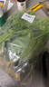 京鲜生 新鲜菠菜 600g 简装 新鲜蔬菜 实拍图