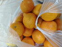 京鲜生 广西花皮沃柑 净重5斤 单果130g 生鲜水果柑橘桔子礼盒 实拍图