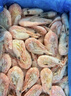 美加佳熟冻北极甜虾腹籽净重3斤 90/120规格   熟冻甜虾 海鲜水产 实拍图