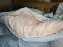 水星家纺被子冬季被子被芯纤维被褥约4.1斤150*210cm粉 实拍图