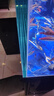 瓦克（WACKER）121大型鱼缸胶水族馆玻璃胶水族箱密封胶防霉防水速干型透明色 实拍图