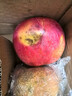 京满福正宗新疆冰糖心苹果 时令生鲜水果红富士脆甜丑苹果年货礼品整箱 整箱10斤 单果80-95mm 净重8.5斤 实拍图