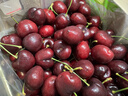 京鲜生 智利车厘子2J级10斤礼盒装 果径约28-30mm 水果礼盒 实拍图