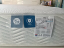 富安娜床垫 乳胶弹簧床垫 政府补贴软硬两用护脊椰棕硬床垫席梦思床垫子 A款偏硬款22cm-整网弹簧(推荐） 1.5*2米 实拍图
