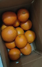 集南鲜  赣南脐橙 江西赣州手剥柑橘橙子当季孕妇新鲜水果橙子整箱礼盒 【状元橙】10斤彩箱 单果220-330g 净重9斤 实拍图