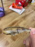 京东京造香酥小黄鱼420g 即食海鲜小吃小鱼干零食独立包装孕妇高蛋白 实拍图