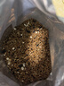 宠尚天 鹦鹉鸟粮5斤袋装天然黍子虎皮文鸟鹦鹉牡丹玄凤鸟粮食 实拍图