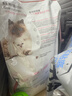 皇家幼猫奶糕 幼猫猫粮 BK34 通用粮 1-4月 2KG 实拍图