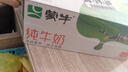 蒙牛【新鲜日期】全脂纯牛奶200ml*24盒 家庭送礼盒装 电商定制 实拍图