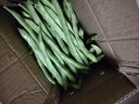 云南高山新鲜四季豆圆青豆现摘直发农家蔬菜鲜嫩饱满带箱2斤健康食材 实拍图