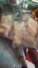 猪黄喉5斤装重庆新鲜冷冻黄喉片重庆涮火锅食材酒店涮猪黄喉商用 1斤装猪黄喉*3包 实拍图