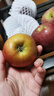 志褚 云南昭通丑苹果 冰糖心苹果 高山脆甜苹果新鲜水果 团购年货礼盒 3斤 小果【60mm-65mm】 实拍图