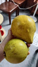 优味集【JD顺丰】蛋黄果鸡蛋果新鲜面包果热带水果生鲜云南特产狮头果 净重500g精品大果（单果100-150g） 实拍图