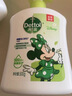 滴露（Dettol）洗手液茉莉绿茶清香500g*2 儿童洗手液家庭抑菌消毒 迪士尼 实拍图