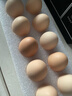 京鲜生鲜鸡蛋10枚/盒 健康轻食 营养健康1斤/盒 源头直发  实拍图