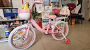 永久儿童自行车3-8岁小孩脚踏单车宝宝中大童女孩公主款童车 【升级-白胎】小猫粉+护具礼包 18寸 实拍图