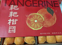 京鲜生 耙耙柑 净重5斤装 单果150g起 生鲜柑橘桔子水果年货礼盒  实拍图