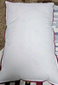 水星家纺枕头枕芯酒店枕头护颈枕头芯家用一对纯棉抗菌可水洗中枕48x74cm 实拍图