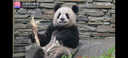 悠乐美照片定制洗照片加相框婚纱照打印冲印私人订制挂墙摆台高级感78寸 全屏高清【简约无框】第二件半价 10寸摆台【80%人选择】 实拍图