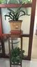 丝竹阁实木花架子置物室内落地式客厅吊兰多层阳台简易绿萝中式盆景摆件 方形-高90cm 实拍图