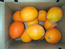土八鲜赣南脐橙江西橙子赣州脐橙新鲜水果应季水果礼盒 果王净重9-10斤【单果330-450g】 实拍图