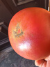 京鲜生 攀枝花沙瓤西红柿净重4.5斤礼盒单果150g起酸甜多汁源头直发包邮 实拍图