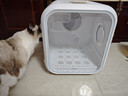 霍曼宠物智能烘干箱宠物烘干机猫咪自动吹干箱狗狗洗澡吹风机家用 实拍图
