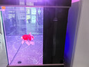 森森超白鱼缸水族箱客厅大型底滤专业龙鱼缸智能生态懒人鱼缸 经典黑 专业款 长151x宽61x高163cm（5代水槽） 实拍图