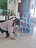 qdrone For the Good Moments儿童玩具女孩生日礼物过家家城堡公主屋别墅芭蕾巴比娃娃3-6-10岁 爱莎公主别墅【四层+14房+4娃娃+灯光+手提大礼盒】 5岁8岁7岁4小女孩女 实拍图