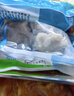 美加佳三去小章鱼净重2斤（500g*2袋）16-26只 去脏八爪鱼  实拍图