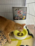 霍曼（Homerun）Real智能自动喂食器猫粮定时猫猫咪自动投食机（不锈钢碗） 实拍图