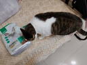 网易严选全价猫粮4.0 宠物主粮成幼猫无谷鲜肉美毛护肠胃 鸡鸭禽肉味1.8kg 实拍图