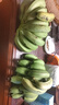 高山精品甜蕉现摘新鲜水果香蕉孕妇宝宝辅食搭配丫丫生鲜特产 9斤装【青蕉发货】 实拍图