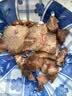 康乐王山西临县三交康乐王手工豆面挂面豌豆杂粮挂面粗粮面条宽挂面整袋 手擀长豆面5斤实惠装(二宽5mm) 实拍图