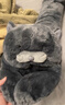 野兽派家居（tbh）懒蓝猫长条抱枕 枕头靠垫家用客厅沙发腰枕床头靠枕礼物 懒蓝猫条形抱枕22X115cm 0cm*0cm 含枕芯 实拍图