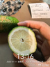 京鲜生 海南大青柠/青柠檬 8粒 单果70-100g  生鲜水果 实拍图