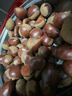 丹东新鲜板栗生栗子当季5斤现摘毛油栗子嫩板栗锥栗整箱生鲜蔬 9斤 【严选大果】净重8.5斤 实拍图