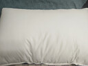 然牌 荞麦枕 护颈枕五星级酒店枕软硬两用枕全棉 单只装48x74cm 实拍图