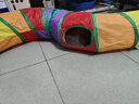 HOUYA猫隧道加长款可折叠彩虹猫咪跑道宠物用品通道钻洞猫玩具自嗨解闷 实拍图