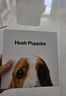暇步士（Hush Puppies）【礼盒装】皮带男士头层牛皮针扣腰带新款裤腰带送男友生日礼物 人气棕【款式一】 130cm 实拍图