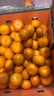 京鲜生 砂糖橘/砂糖桔 5斤 生鲜水果礼盒  实拍图