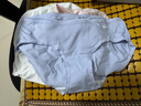 蕉内银皮300S女士内裤50支莫代尔棉感混纺三角吸湿10A抗菌低腰透气3件 实拍图