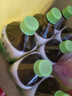 统一 绿茶 1L*8瓶 整箱装 调味茶饮料（新老包装随机发货） 实拍图