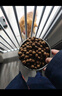 卫加高肉狗粮40斤装通用型大颗粒金毛德牧土狗中大型犬成幼犬粮20kg 实拍图