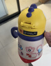 babycare儿童保温杯婴儿宝宝吸管水杯霸王龙不锈钢保温杯300ml-新旧款混发 实拍图
