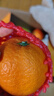 京鲜生 爱媛果冻橙 净重10斤 单果180g起 生鲜水果柑橘桔子年货礼盒  实拍图