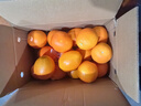 玖原农珍 赣南脐橙新鲜橙子含箱10斤净重9斤优选果150-300g 年货水果礼盒 实拍图