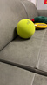 babycare&bctoys儿童球拍拍球儿童无声弹力训练小皮球玩具绿色 实拍图