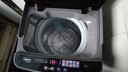 美的（Midea）随心洗波轮洗衣机全自动 5.5公斤 小型租房用 专利免清洗 MB55V36E 以旧换新 国家补贴 实拍图